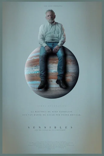 Movie poster for Sensibles