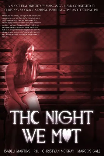 Movie poster for The Night We Met (2025)