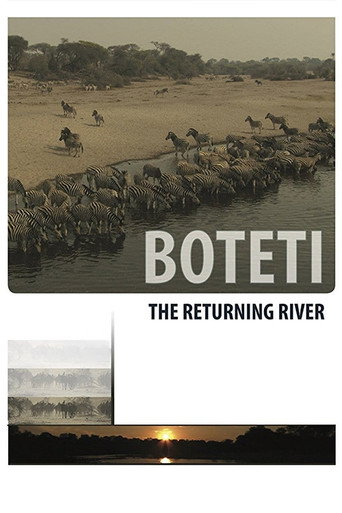 Movie poster for Boteti: The Returning River (2011)