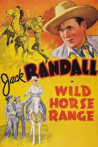 Movie poster for Wild Horse Range (1940)