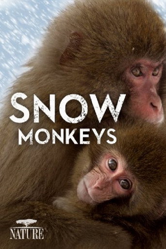 Movie poster for Wild Japan: Snow Monkeys (2014)