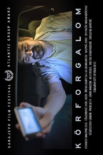 Movie poster for Roundabout (2012)