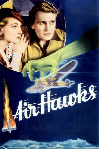 Movie poster for Air Hawks (1935)