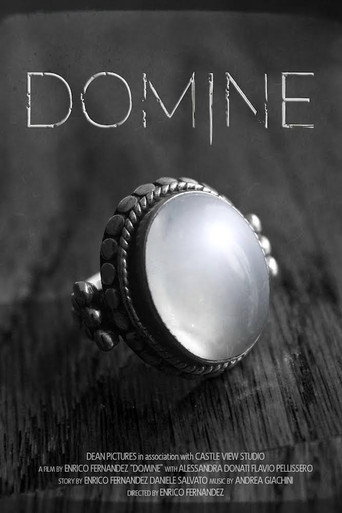 Movie poster for Domine (2017)