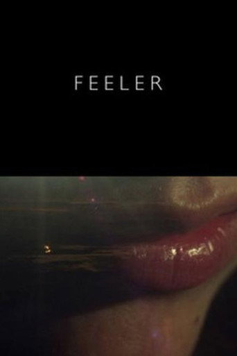 Movie poster for Feeler (2016)