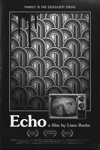 Movie poster for Echo (2024)