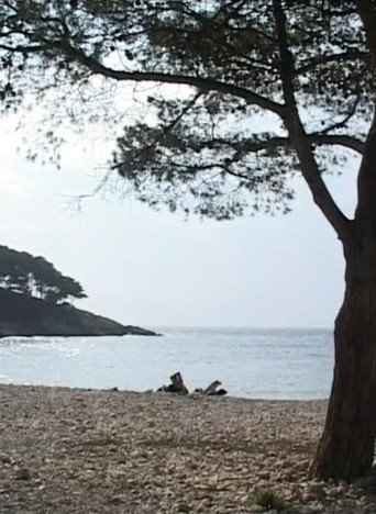 Movie poster for A Day (2010)