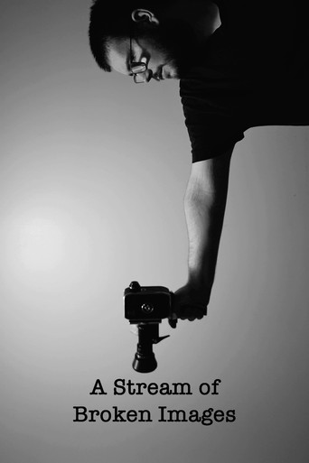 Movie poster for A Stream of Broken Images (2023)