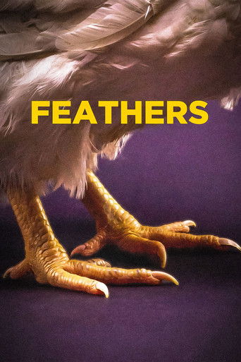 Movie poster for Feathers (2021)