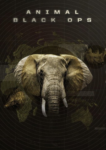 Animal Black Ops poster