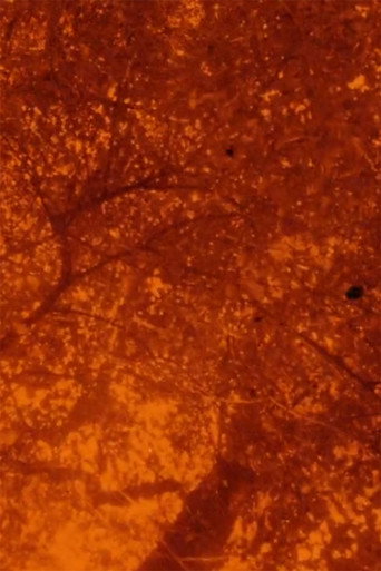 Movie poster for See Beneath the Static (2020)