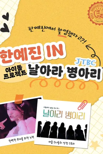 날아라 병아리 poster