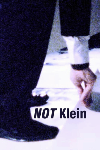 Movie poster for Mike Bidlo: NOT Klein (1985)