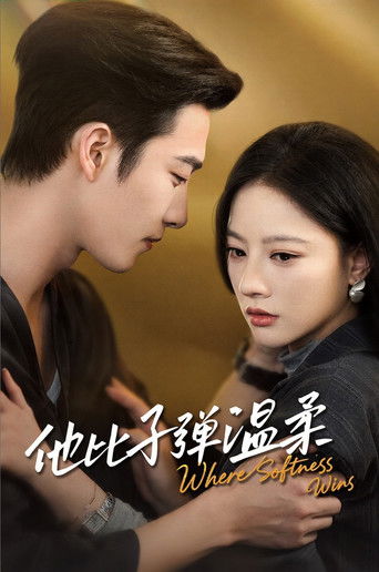 Gentler Than a Bullet poster