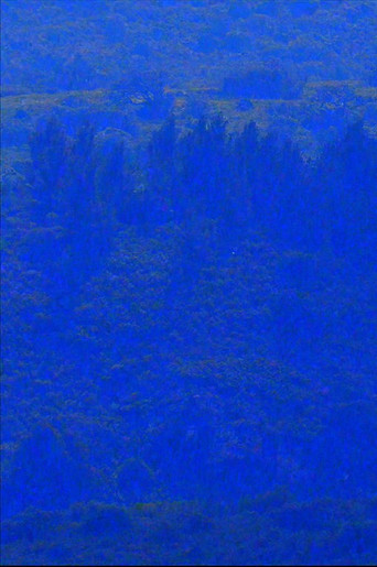 Movie poster for Coma Serrat (2023)
