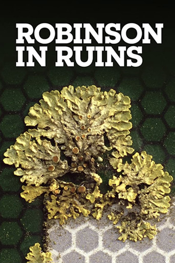 Movie poster for Robinson in Ruins (2010)