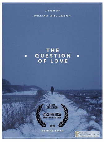 Movie poster for The Question of Love