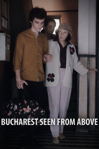 Movie poster for Bucharest Seen from Above (2020)
