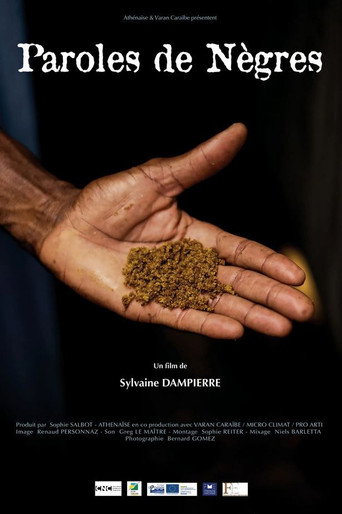 Movie poster for Words of Negroes (2021)