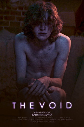 Movie poster for The Void (2024)
