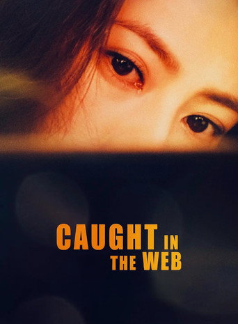 Movie poster for Caught in the Web (2012)