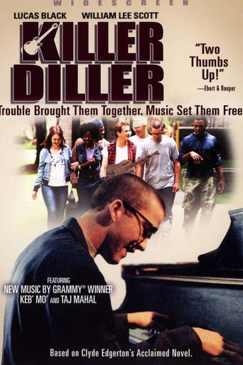 Killer Diller poster