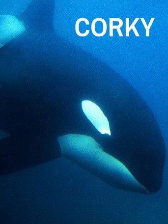 Movie poster for CORKY