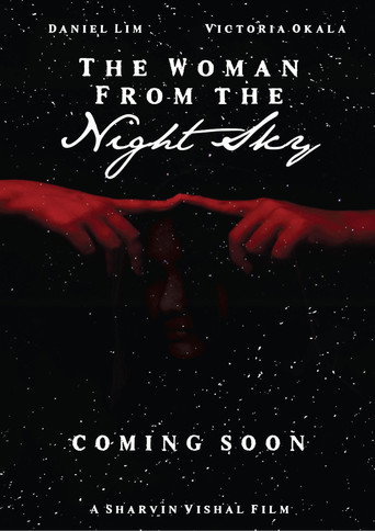 Movie poster for The Woman from the Night Sky (2023)