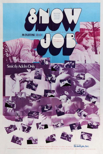 Movie poster for Snow Job (1969)