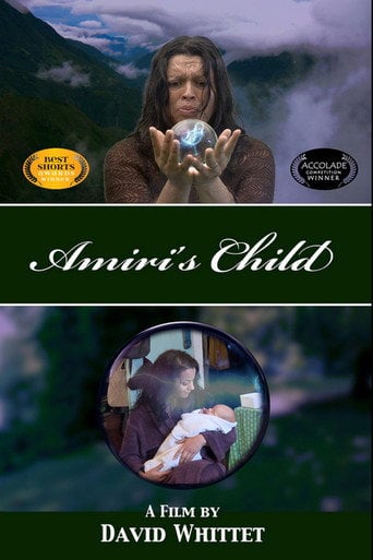 Movie poster for Amiri's Child (2014)
