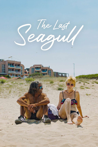 Movie poster for The Last Seagull (2023)