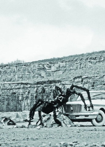 As Long as the Stratified Animal Lights Up poster