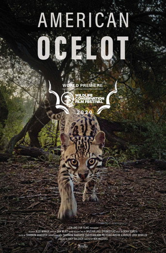 Movie poster for American Ocelot (2021)
