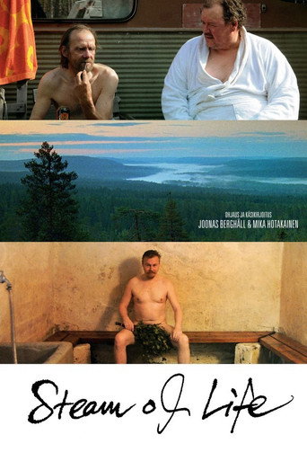Movie poster for Steam of Life (2010)