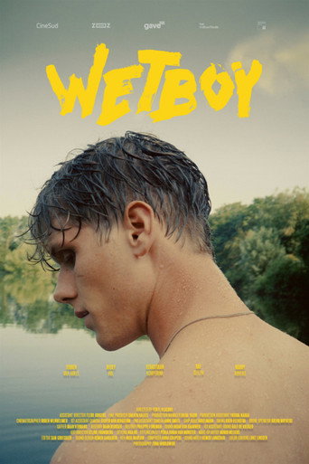 Movie poster for Wetboy