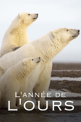 Movie poster for L'Année de l'ours (2024)