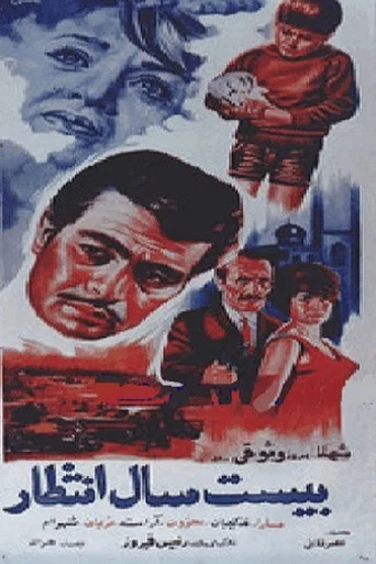 Movie poster for Twenty Years of Waiting (1966)