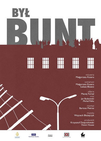 Movie poster for Był bunt (2014)