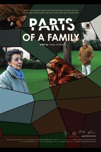 Movie poster for Parts of a Family (2014)