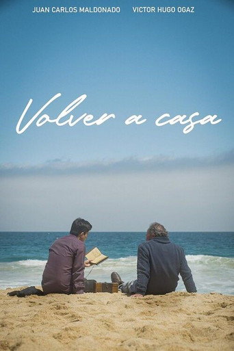 Movie poster for Volver a casa (2022)