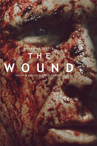 The Wound poster