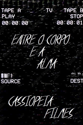 Movie poster for The last VHS