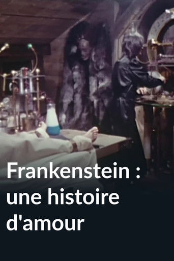Frankenstein: A Love Story poster