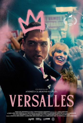 Versailles poster