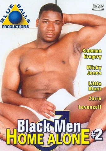 Movie poster for Black Men Home Alone 2 (2006)