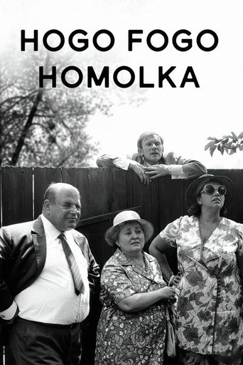 Movie poster for Hogo Fogo Homolka (1971)