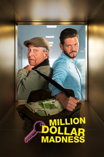 Movie poster for Million Dollar Madness (2025)