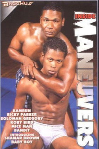 Movie poster for Inside Maneuvers (2001)