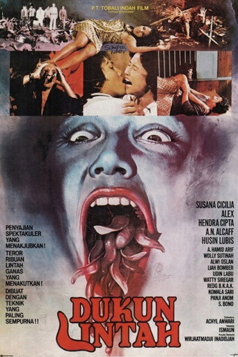 Movie poster for Leech Wizard (1981)