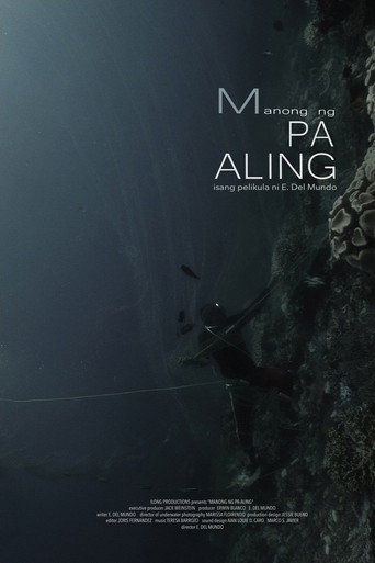 Movie poster for Man of Pa-Aling (2017)